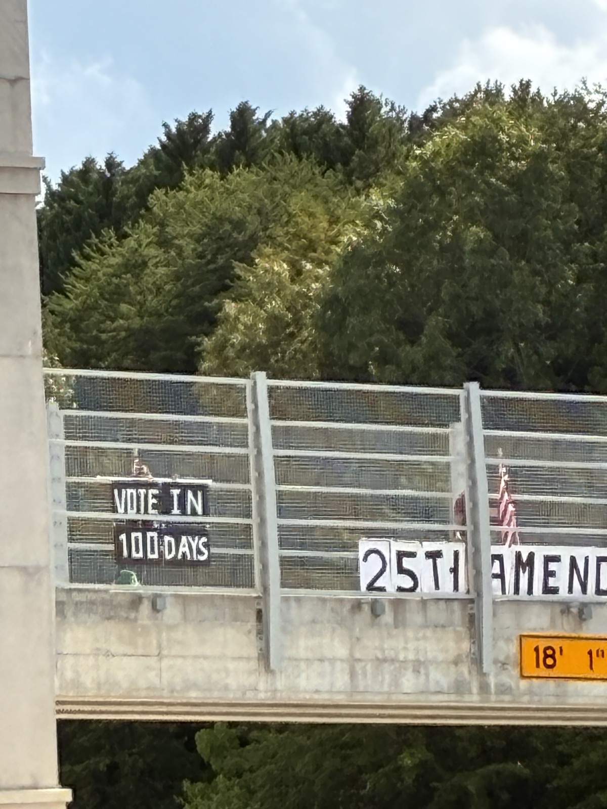 Sign reading Vote in 100 days, 25th amendment
